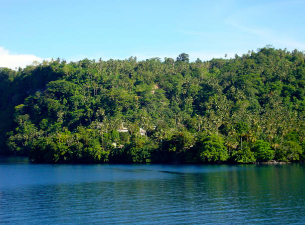 scena del cratere dell'isola di garove da una nave da crociera, papua nuova guinea. - papua new guinea foto e immagini stock