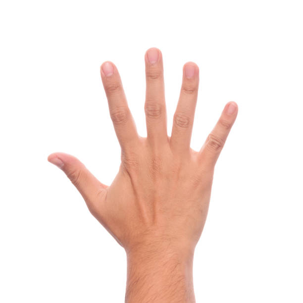 istock Male hand showing five fingers. 900110980