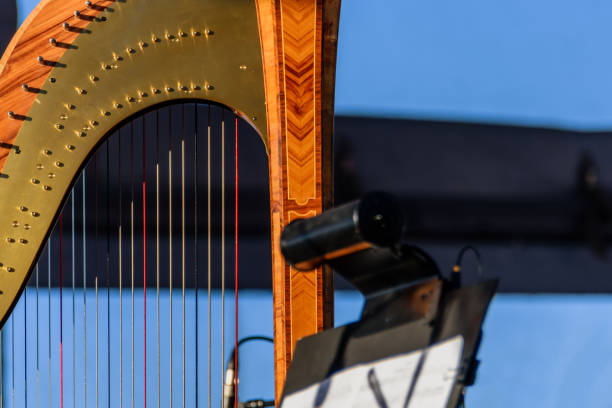 istock Bronze harp with multi-colored strings and music stand for notes close-up 900115710