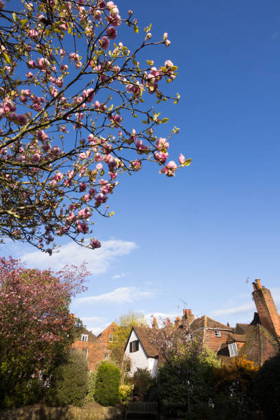 istock Six Bells Lane in Sevenoaks, England 900123528