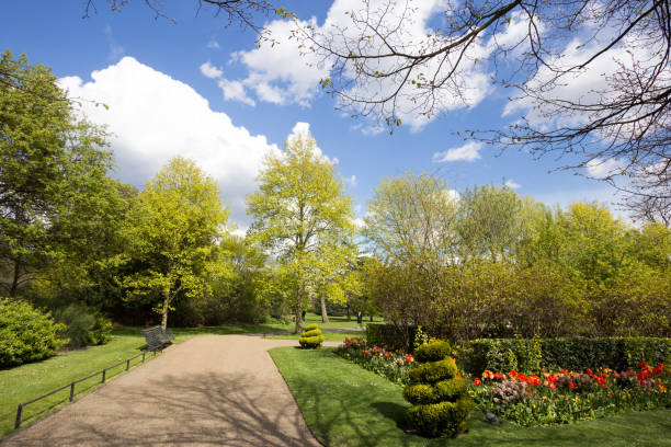 istock Regent's Park in Camden, London 900124096