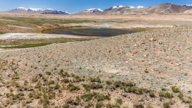 istock Barskoon (Arabel) Syrts at Issyk Kul Region 900130212
