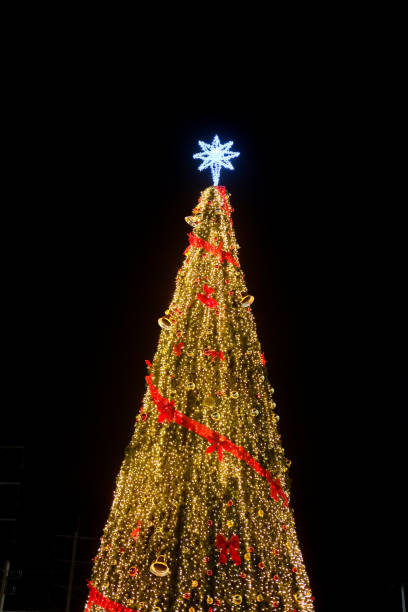 istock Christmas tree on outdoor with night time 900131378