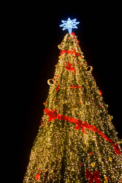 istock A giant Christmas tree on black sky background 900131380