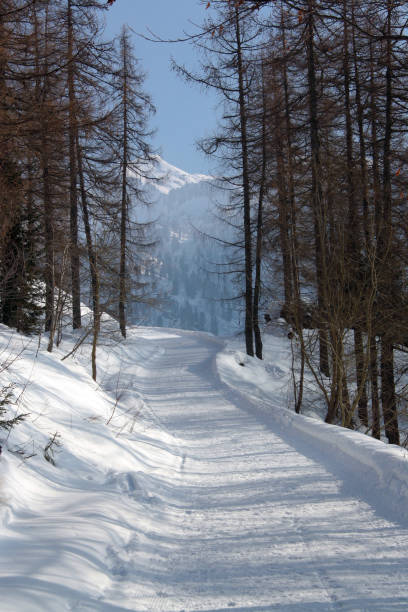istock Winter landscape in the mountain 900132110