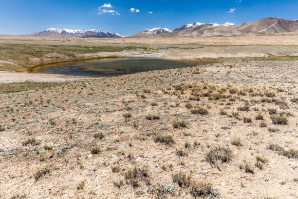 istock Barskoon (Arabel) Syrts at Issyk Kul Region 900132136