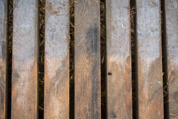 istock old wooden boardwalk covered with leaves in ancient forest 900152492