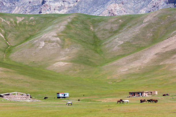 istock Nice view on Sary-Mogul a village 900169140