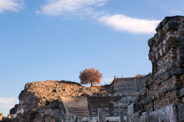 Ephesus ruins of the ancient city Ephesus ruins of the ancient city Izmir stock pictures, royalty-free photos & images