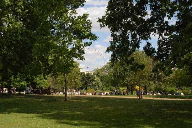 London, United Kingdom - June 6, 2015: View of London Eye from St. James´s Park
