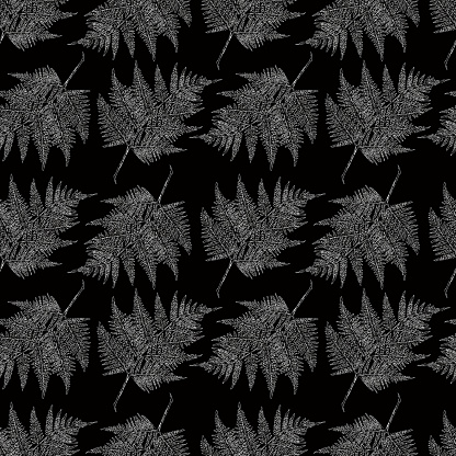 Vector background of the decorative leaves of fern.