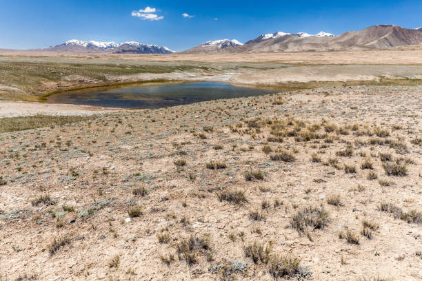 istock Barskoon (Arabel) Syrts at Issyk Kul Region 900179962