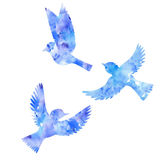 aquarell fliegende vögel silhouette - nachtigall stock-grafiken, -clipart, -cartoons und -symbole