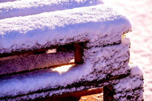 istock winter scene, palette with snow cap 900184518