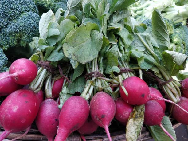 istock Fresh radish selling at market 900185284