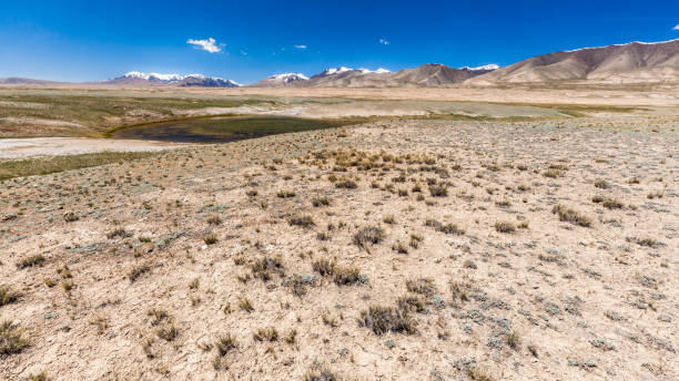 istock Barskoon (Arabel) Syrts at Issyk Kul Region 900185436