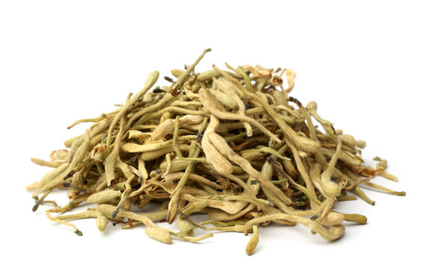 secado de té de la flor de madreselva (jin yin hua) - dry dried plant green tea antioxidant fotografías e imágenes de stock