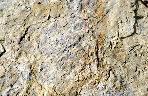 istock Cross section of rock 900189652