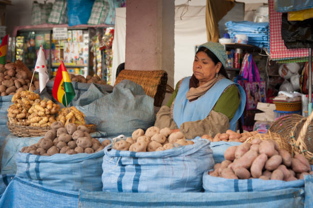 unidentified bolivian sellers at central market in sucre, bolivia - merced county imagens e fotografias de stock