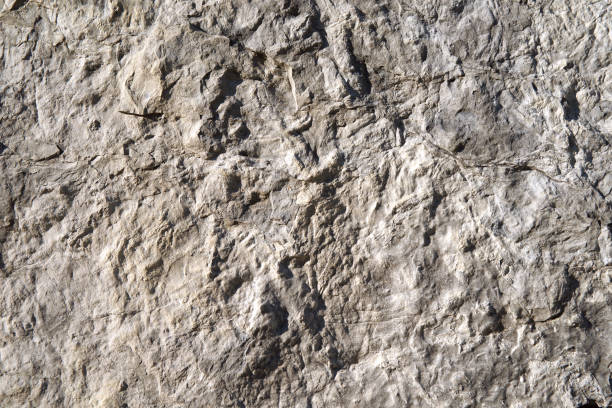 istock Cross section of rock 900195522