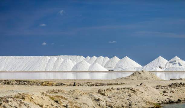 istock Salt flats in Bonaire (netherlands antilles) 900199748
