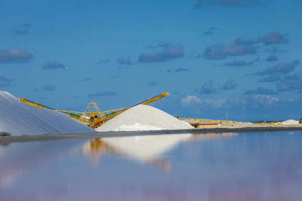 istock Salt flats in Bonaire (netherlands antilles) 900199772