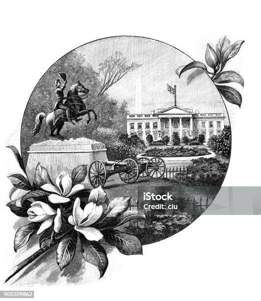 The White House In Washington And The Jackson Statue Stock Illustration - Download Image Now