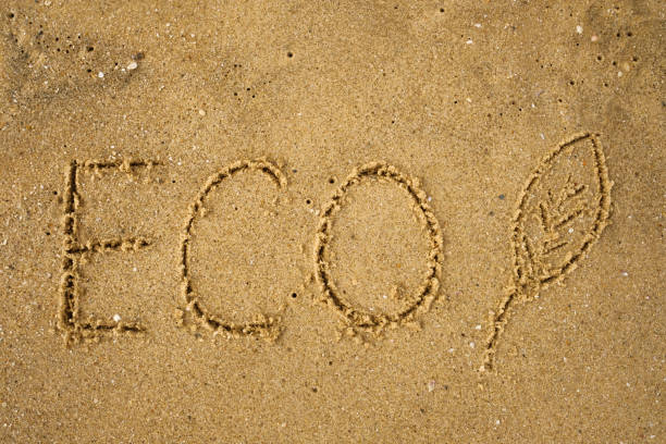 istock Word ECO frawn on sandy yellow beach. 900217744