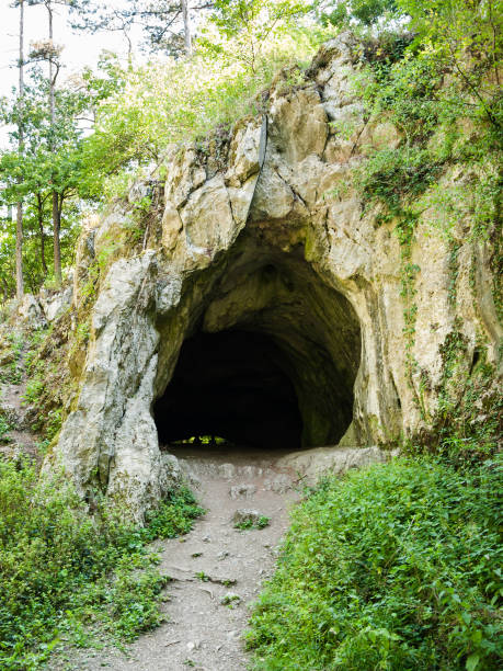 istock Cave in the rock surrounded by green foliage 900224388