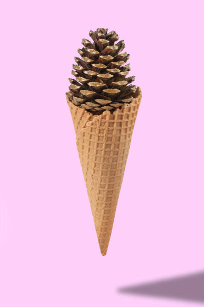 istock Ice cream cone with pine cone on pink background. Minimal style. Holiday concept. 900238830