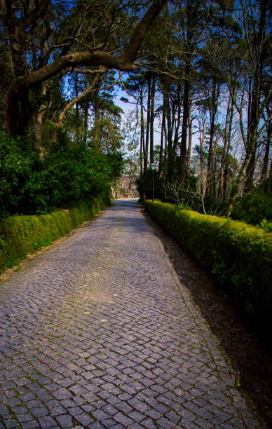 istock stone walkway in sintra portugal 900243372