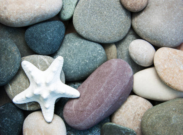 istock Sea pebble stones and starfish 900247410