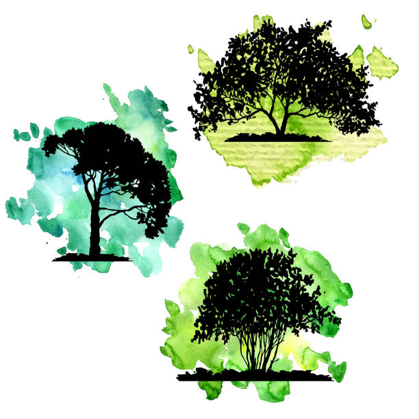 vector set of deciduous trees vector set of deciduous trees at green watercolor background, hand drawn isolated natural elements linden new jersey stock illustrations