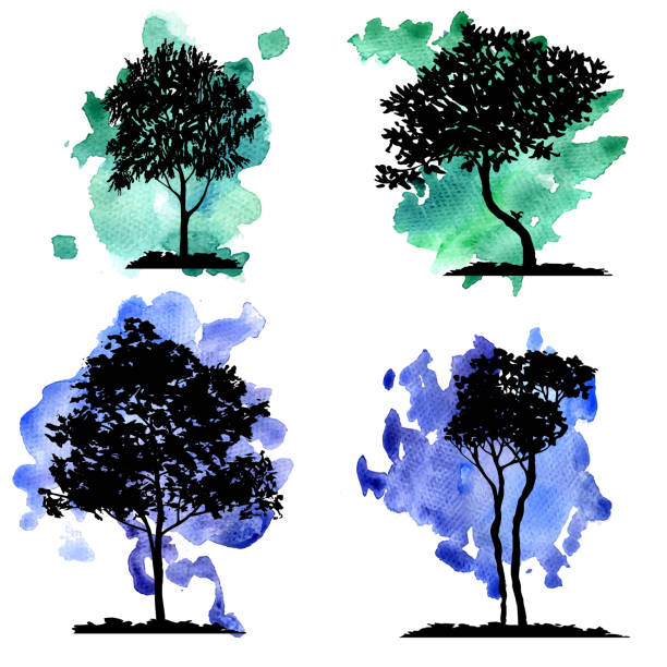 vector set of deciduous trees vector set of deciduous trees at watercolor background, hand drawn isolated natural elements linden new jersey stock illustrations