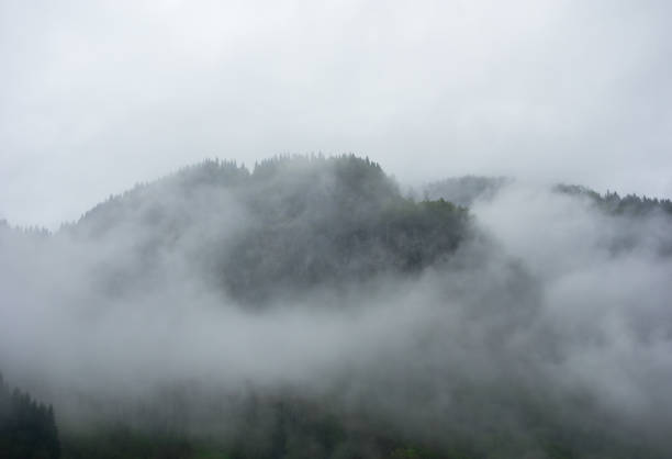 istock Dense fog covering mountain in Norway. 900264316