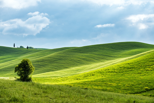 Typical Tuscan landscape from Val d'Orcia, Italy