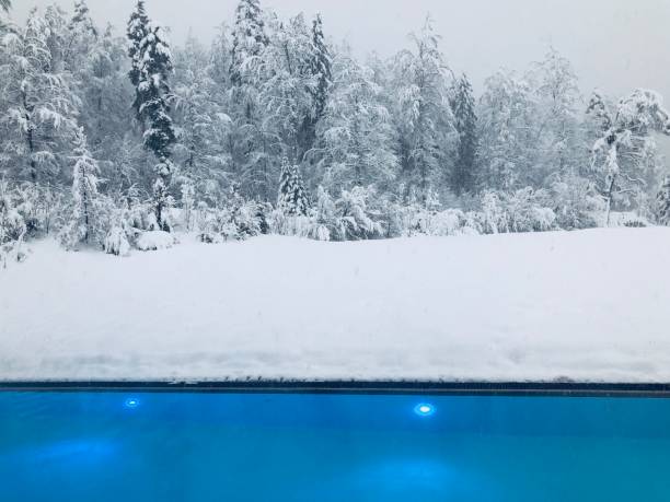 View of the forest during snow fall - swimming pool in foreground