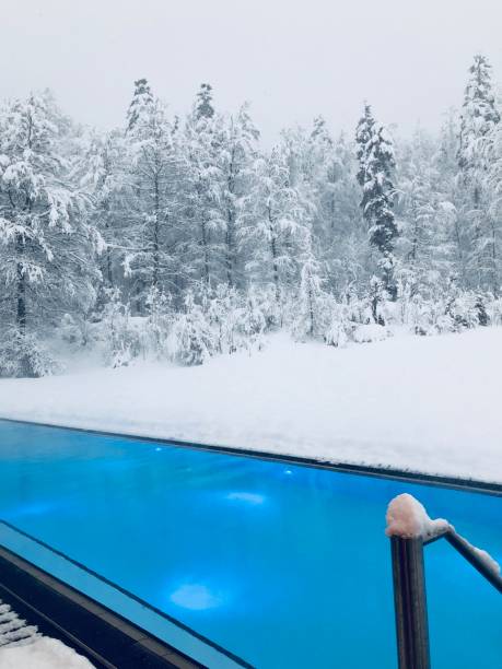 istock View of the forest during snow fall - swimming pool in foreground 900284448