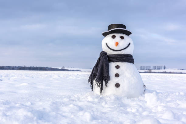 istock Funny snowman in black hat 900298536