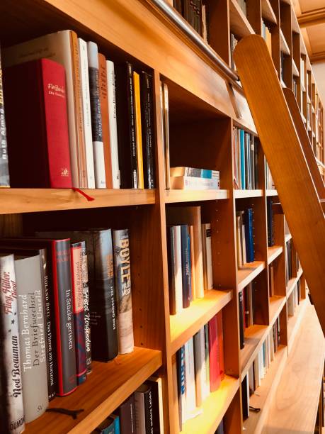 istock Brown wooden shelfs fully packed with books in a library, ladder 900301500