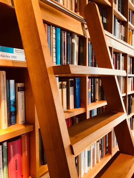 istock Brown wooden shelfs fully packed with books in a library, ladder 900301576