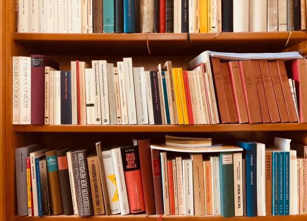 istock Brown wooden shelfs fully packed with books in a library 900306820