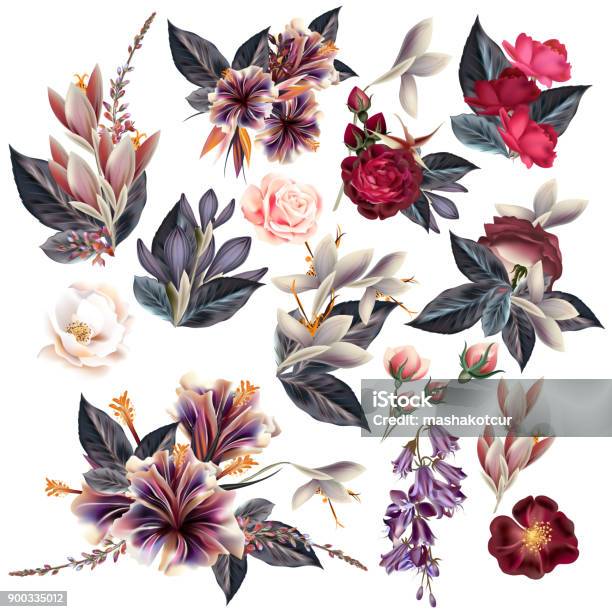 Riesige Sammlung Von Blumen Im Vintagestil Stock Vektor Art und mehr Bilder von Blume - Blume, Retrostil, Altertümlich