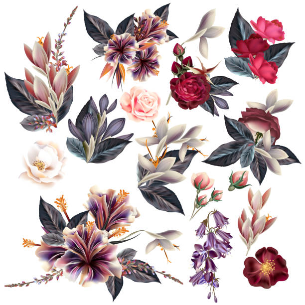 illustrations, cliparts, dessins animés et icônes de énorme collection de fleurs dans le style vintage - floral pattern dirty pattern grunge
