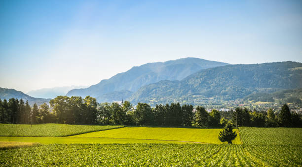 istock Summer panorama of Alps mountains 900364060