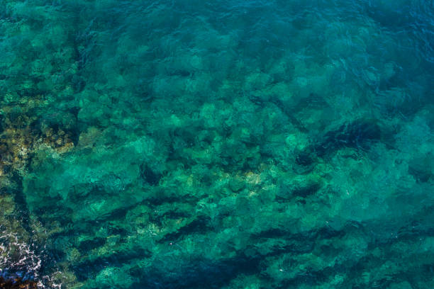 istock Aerial view on green waves, seabed texture 900366842