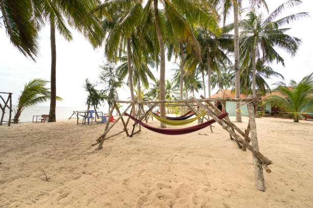 istock Beachside hammock tied to a tree with relaxing holiday 900377678