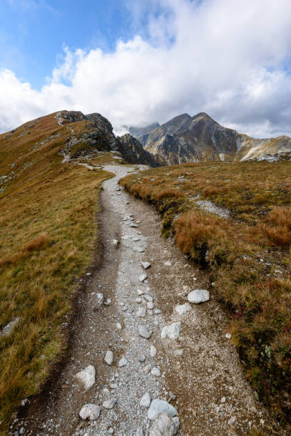 istock slovakian carpathian mountains in autumn. 900388120