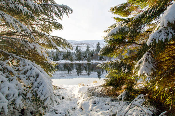 winter-wunderland - brecon beacons nationalpark stock-fotos und bilder