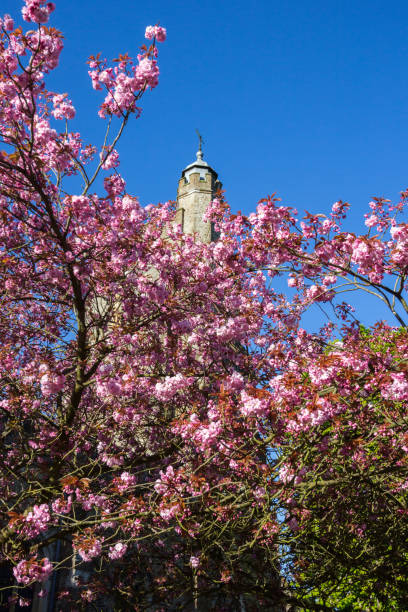 istock St Nicholas Church in Sevenoaks, England 900400332